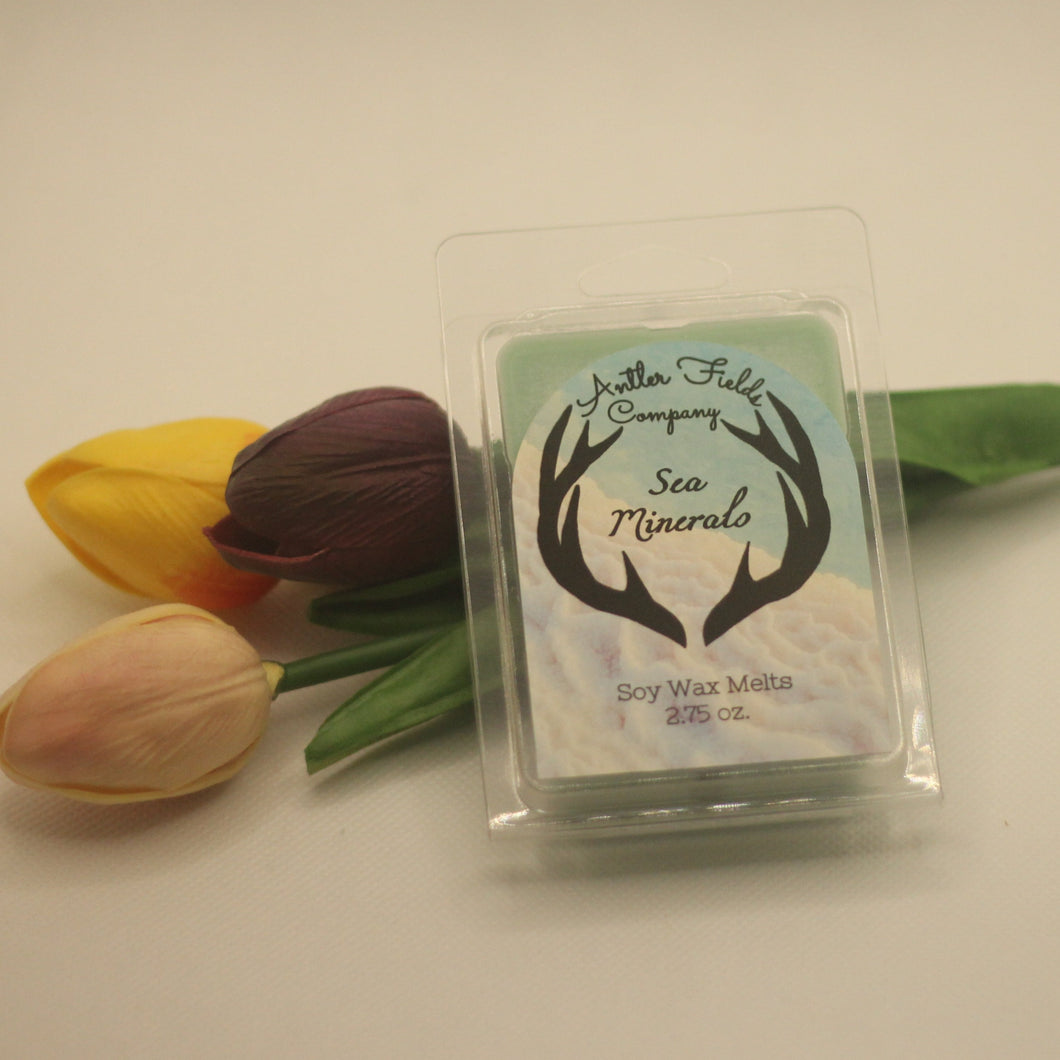 Sea Minerals Soy Wax Melts